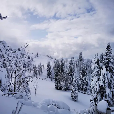 Koca Predilnica Velika Planina * Kamniska Bistrica