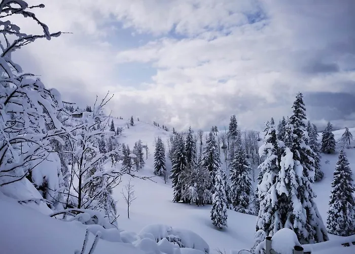 Koca Predilnica Velika Planina * Kamniska Bistrica